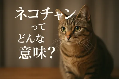 ネコチヤンってどんな意味？
