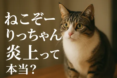 ねこぞーのりっちゃん炎上って本当？