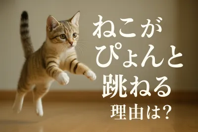 ねこがぴょんと跳ねる理由は？