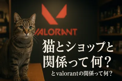 猫とショップとvalorantの関係って何？