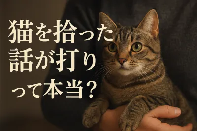 猫を拾った話が打ち切りって本当？