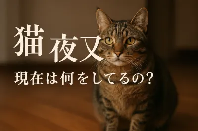 猫 夜叉 現在は何をしてるの？