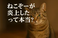 ねこぞーが炎上したって本当？