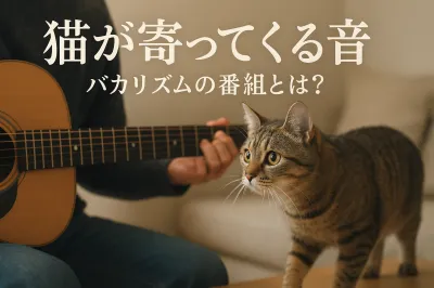 猫が寄ってくる音バカリズムの番組とは？