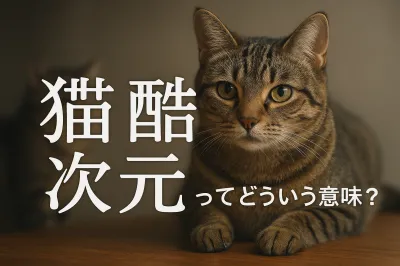 猫 酷 次元ってどういう意味？