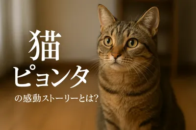 猫 ピョンタの感動ストーリーとは？