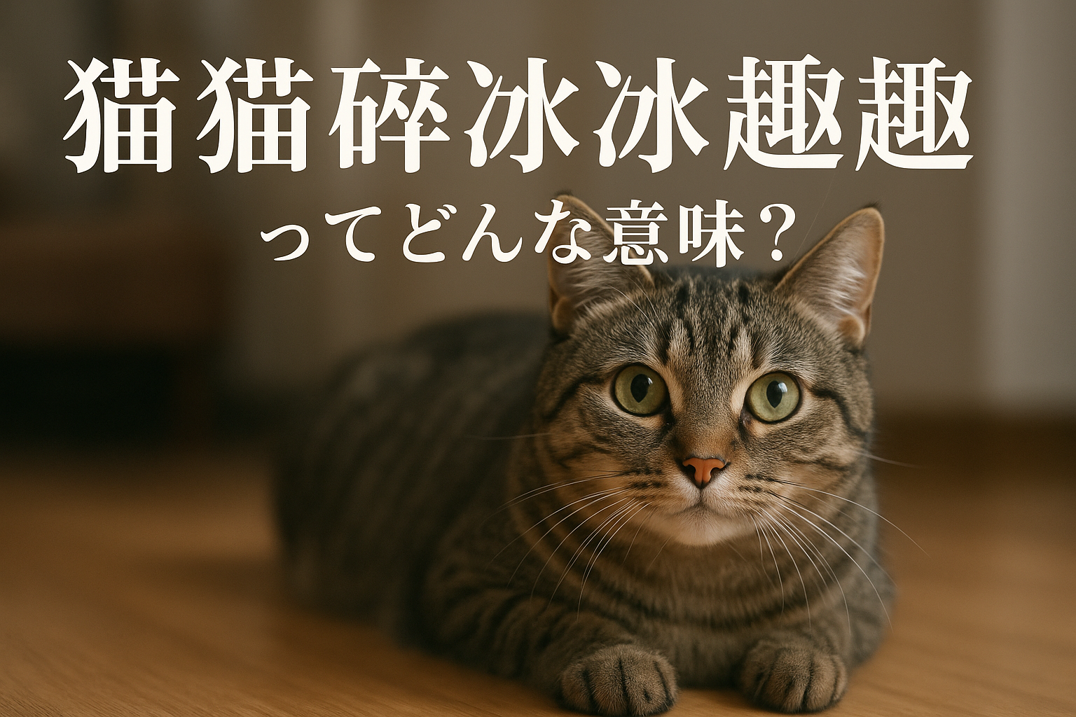 猫猫碎冰冰趣趣ってどんな意味?