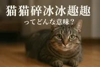 猫猫碎冰冰趣趣ってどんな意味？