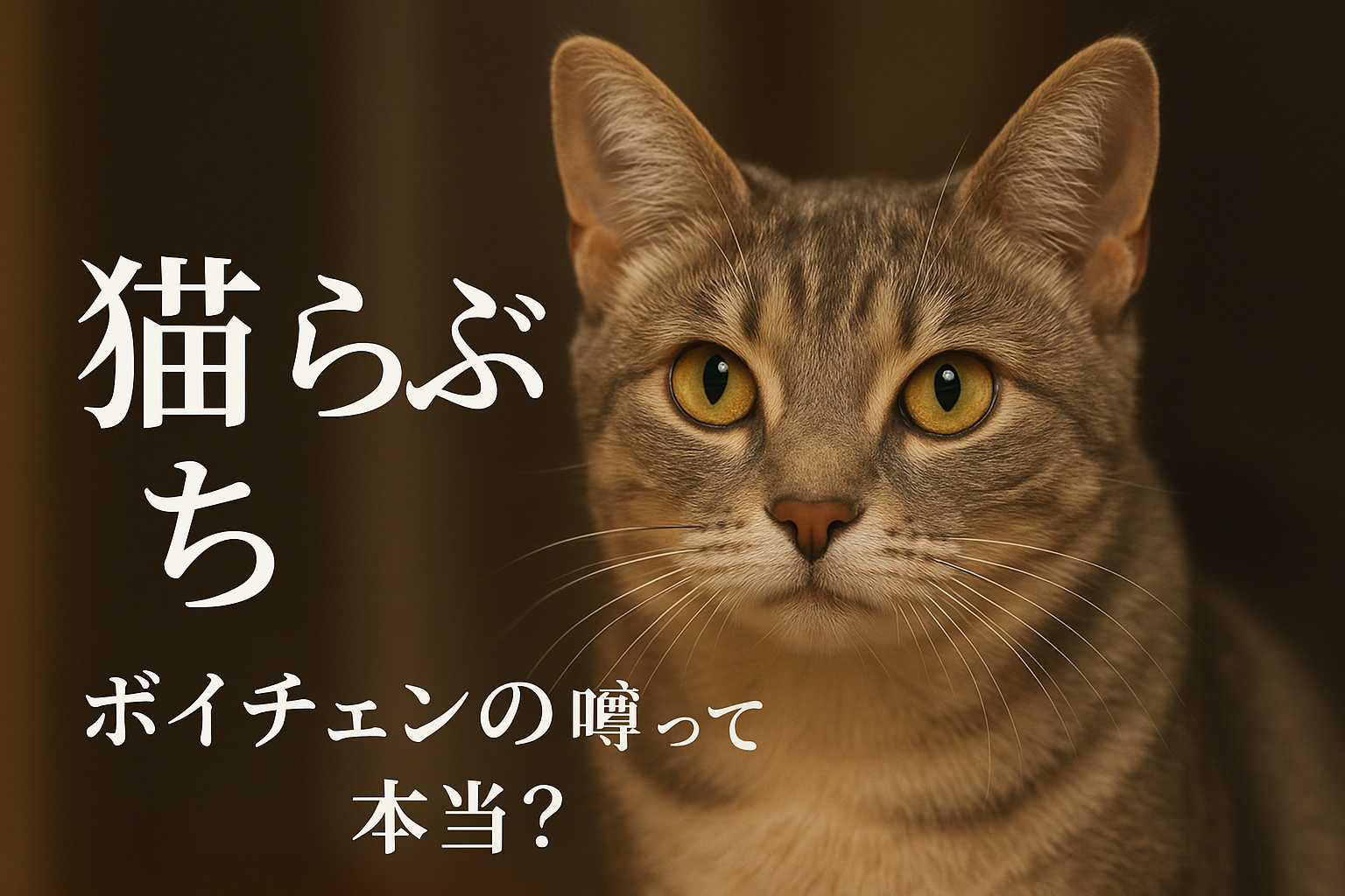猫 らぶ ち ボイチェンの噂って本当？