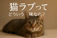 猫 ラブってどういう意味なの？
