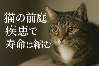 猫の前庭疾患で寿命は縮む？