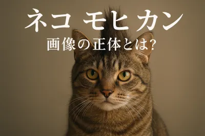 ネコ モヒカン 画像の正体とは？