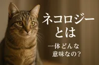ネコロジーとは一体どんな意味なの？