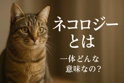 ネコロジーとは一体どんな意味なの？