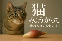 猫 みょうがって食べさせても大丈夫？
