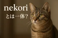 nekoriとは一体？