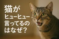 猫がヒューヒュー言ってるのはなぜ？