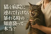猫を病院に連れて行けないで暴れる時の知恵袋って本当？