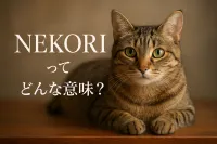 nekoriってどんな意味？