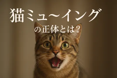 猫 ミュー イングの正体とは？