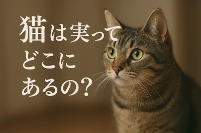 猫実ってどこにあるの？
