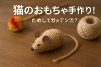 猫のおもちゃ手作り！ためしてガッテン流？
