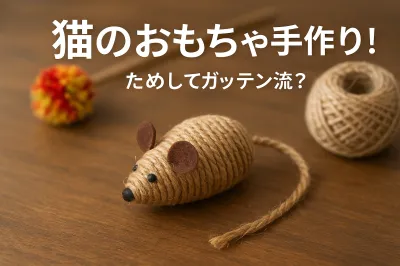 猫のおもちゃ手作り！ためしてガッテン流？