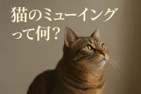 猫のミューイングって何？