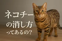 ネコチーターの消し方ってあるの？