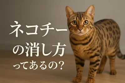 ネコチーターの消し方ってあるの？