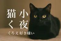 猫 小夜 くろ え 好き嫌いの理由は？