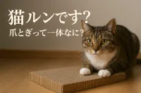 猫ルンです？爪とぎって一体なに？