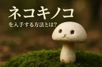 ネコキノコを入手する方法とは？