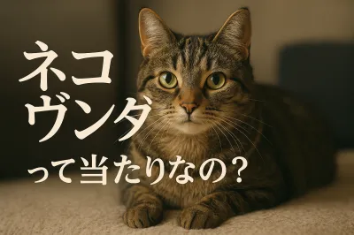 ネコヴンダーって当たりなの？