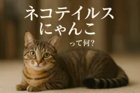 「ネコテイルス にゃんこ」って何？