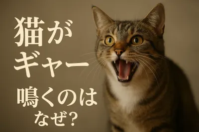 猫がギャーと鳴くのはなぜ？