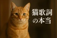 猫 歌詞の本当の意味ってなに？