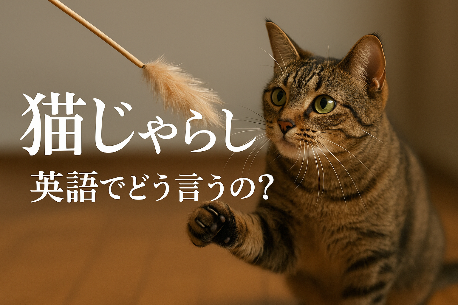 猫じゃらし 英語でどう言うの？