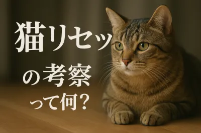 猫リセットの考察って何？