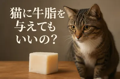 猫に牛脂を与えてもいいの？