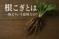 根こぎとは一体どういう意味なの？