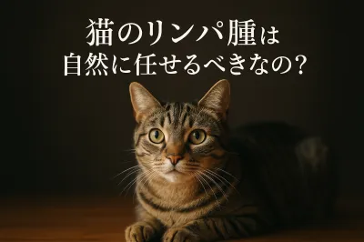 猫のリンパ腫は自然に任せるべきなの？