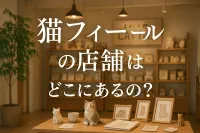 猫 フィールの店舗はどこにあるの？
