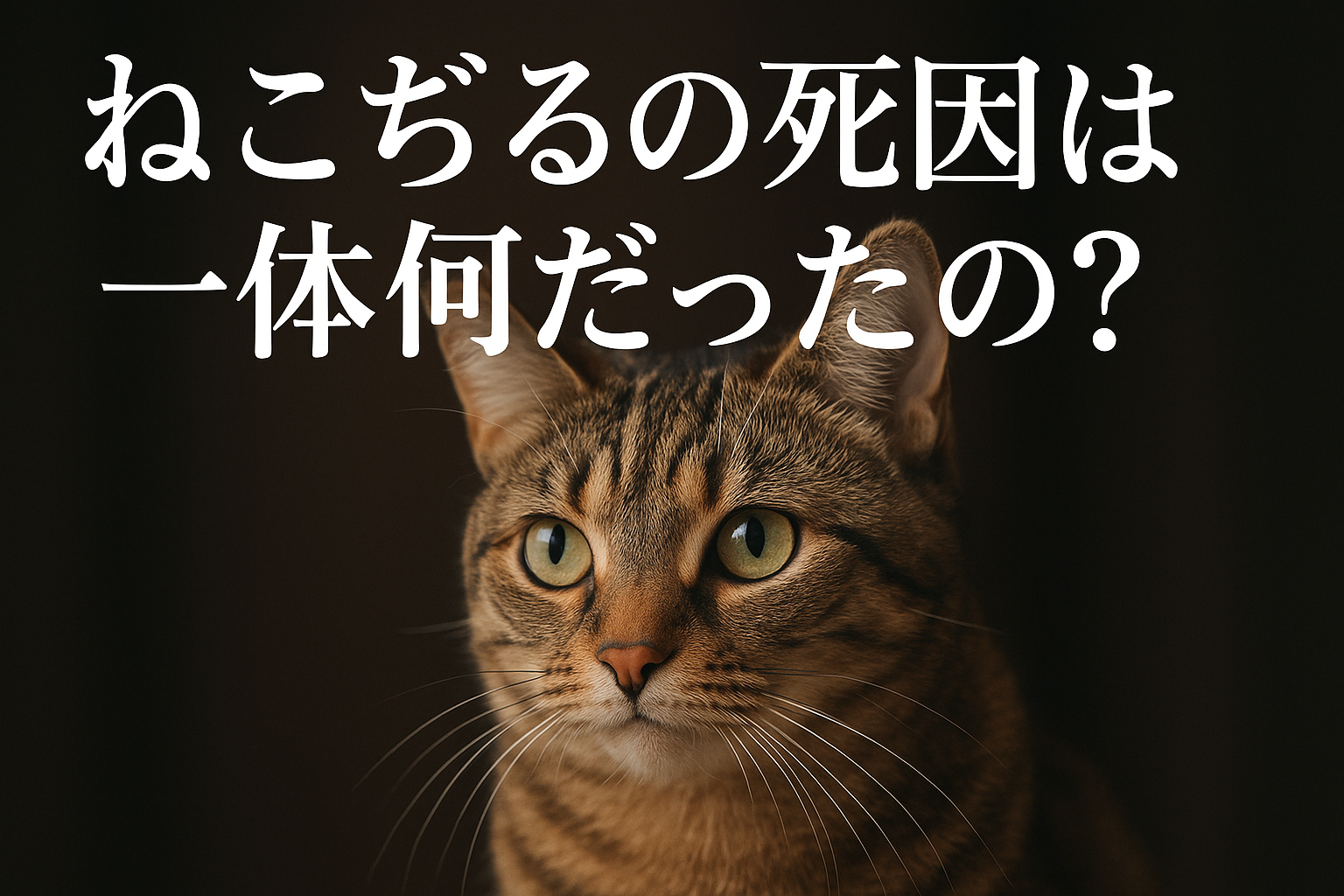 ねこぢるの死因は一体何だったの？