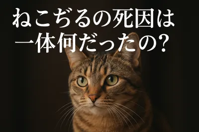 ねこぢるの死因は一体何だったの？