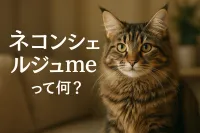 「ネ コンシェルジュ me」って何？