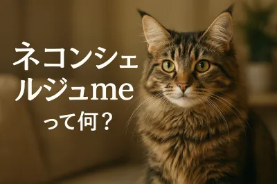 「ネ コンシェルジュ me」って何？