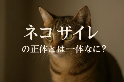 ネコザイルの正体とは一体なに？
