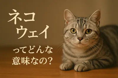 ネコウェイってどんな意味なの？