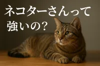 ネコター さんって強いの？